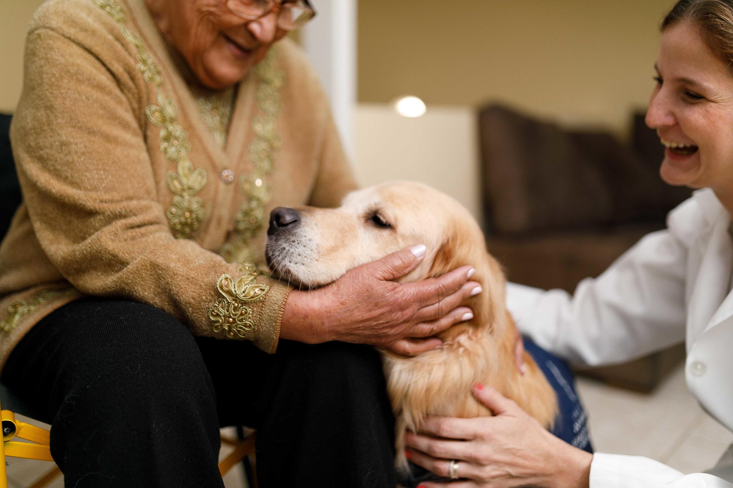 Dementia assistance dogs fashion