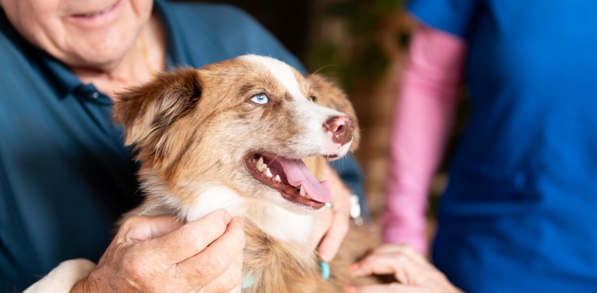 Avalon resident with a dog on his lap and a caregiver by his side