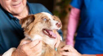 Avalon resident with a dog on his lap and a caregiver by his side